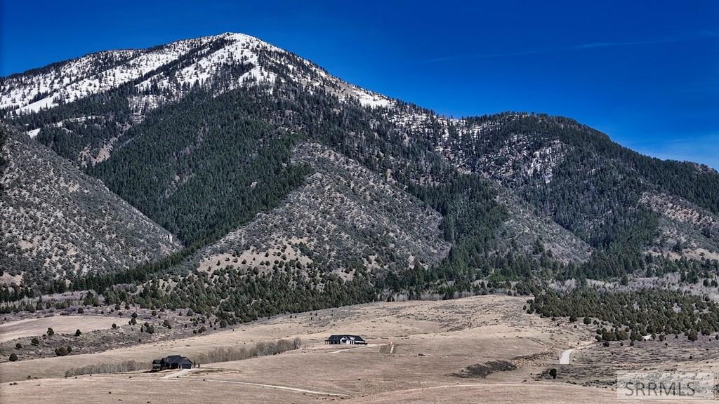 Tbd Sumac Loop Swan Valley, ID 83449 - Photo 3 of 9