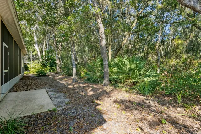 a view of city and mountain