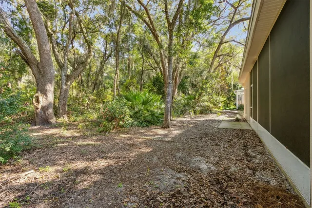 a sign of golf club on a wall under a tree