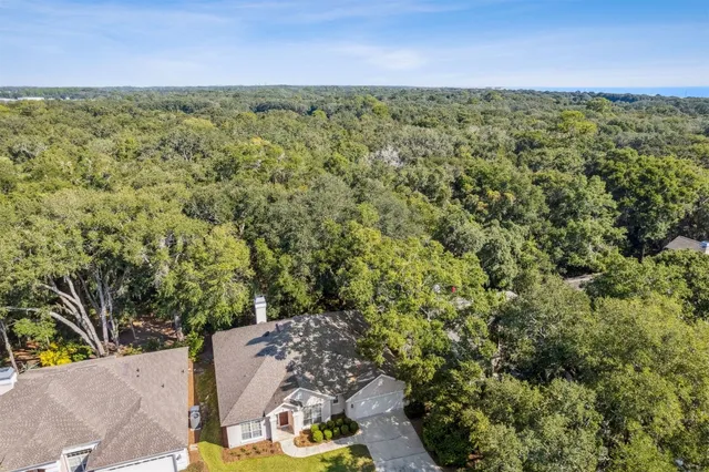 a view of a patio with table and chairs potted plants with large tree
