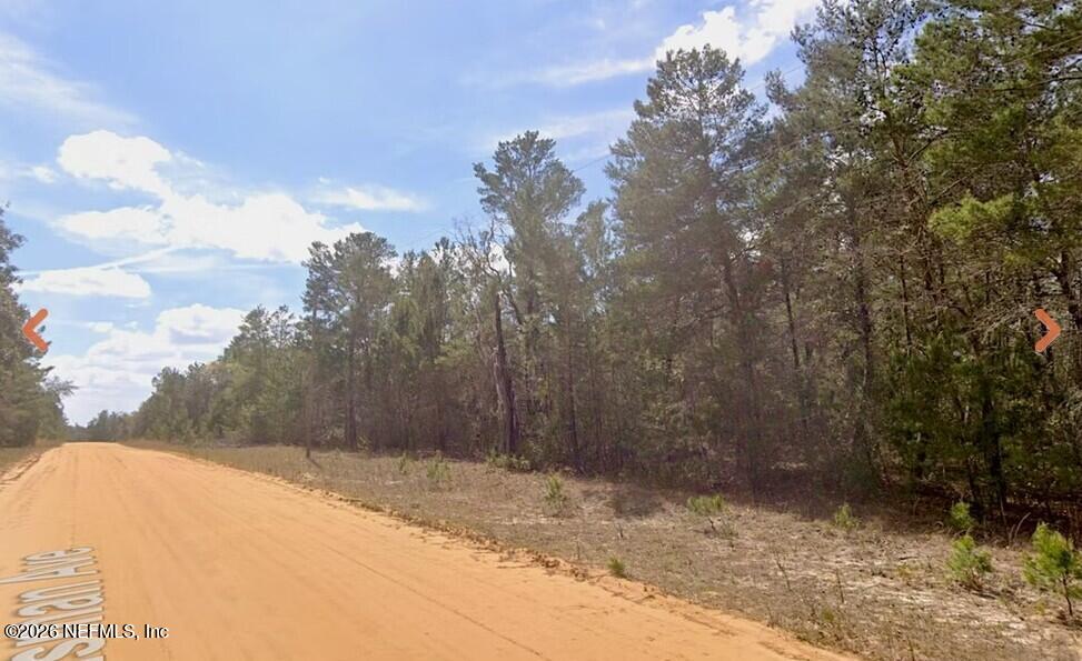 0 Neisman Avenue Interlachen, FL 32148 - Photo 4 of 10 a view of a backyard of the house