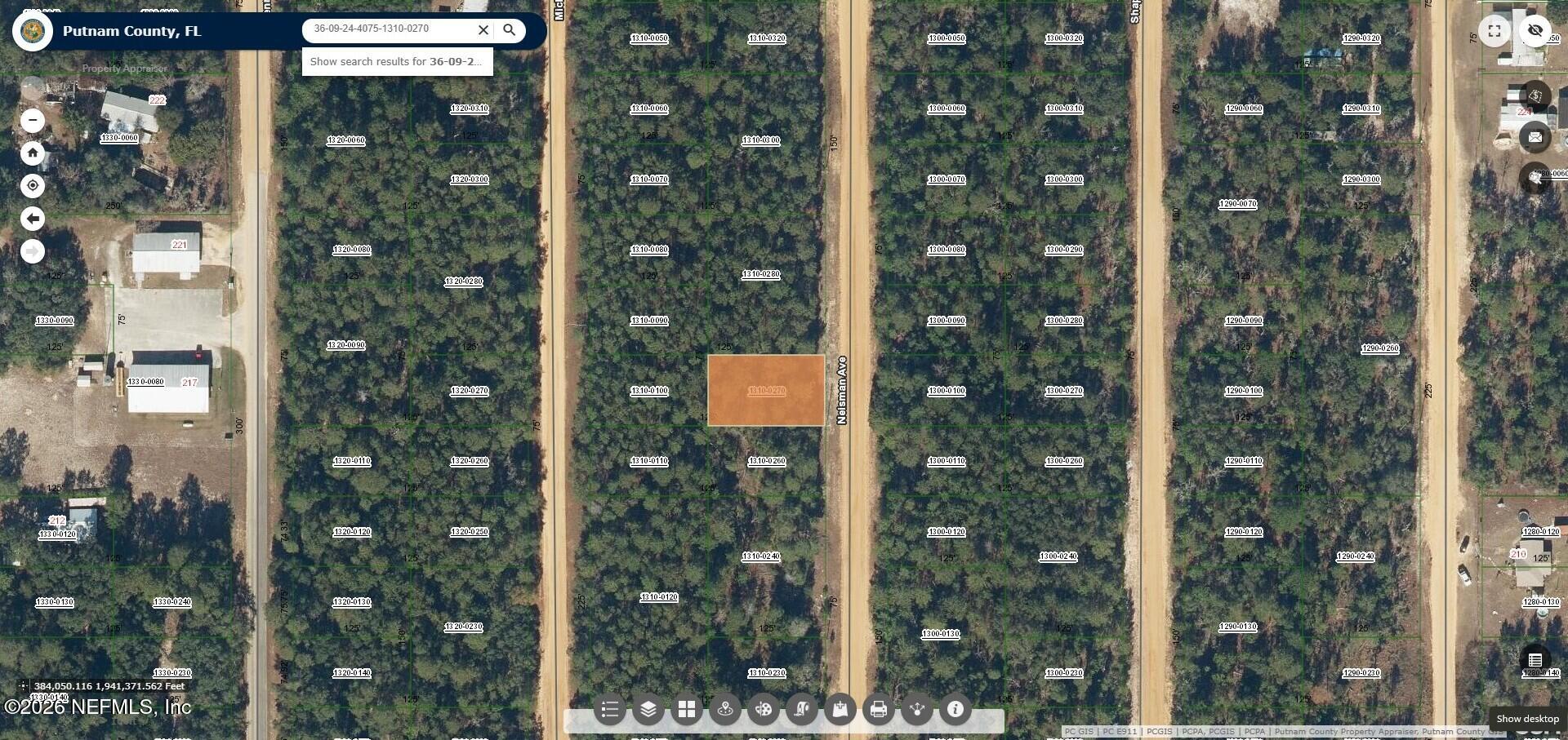 0 Neisman Avenue Interlachen, FL 32148 - Photo 5 of 10