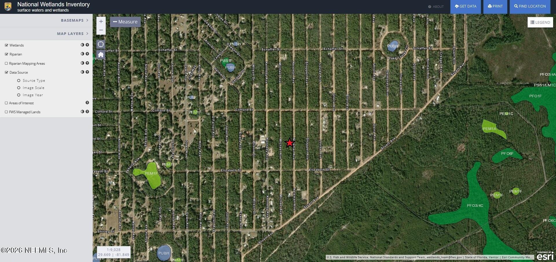 0 Neisman Avenue Interlachen, FL 32148 - Photo 9 of 10 a view of a garden