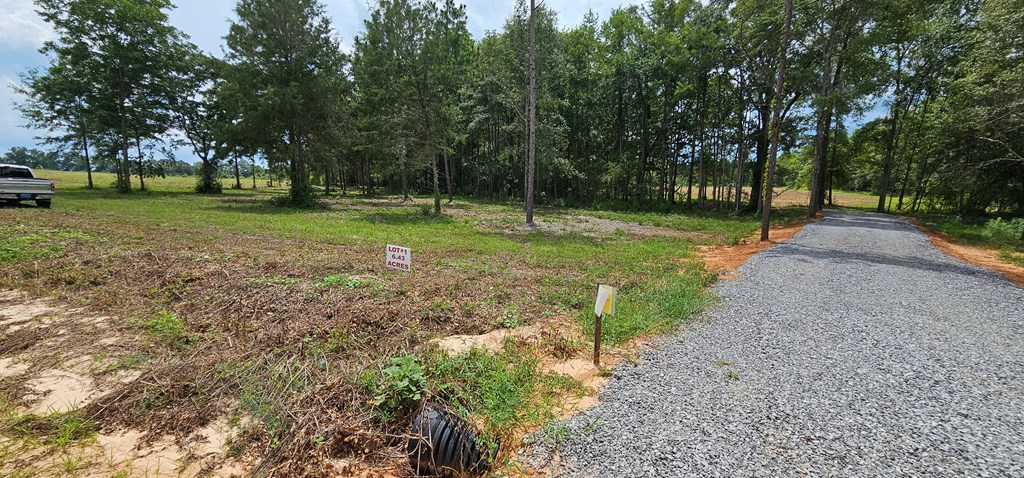 L1 New Hinson Road Slocomb, AL 36375 - Photo 21 of 30