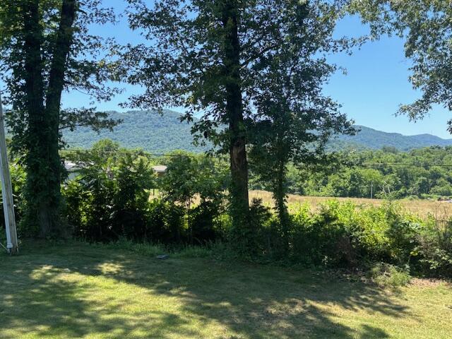 194 Patton Road Pikeville, TN 37367 - Photo 28 of 34 IMG_0620