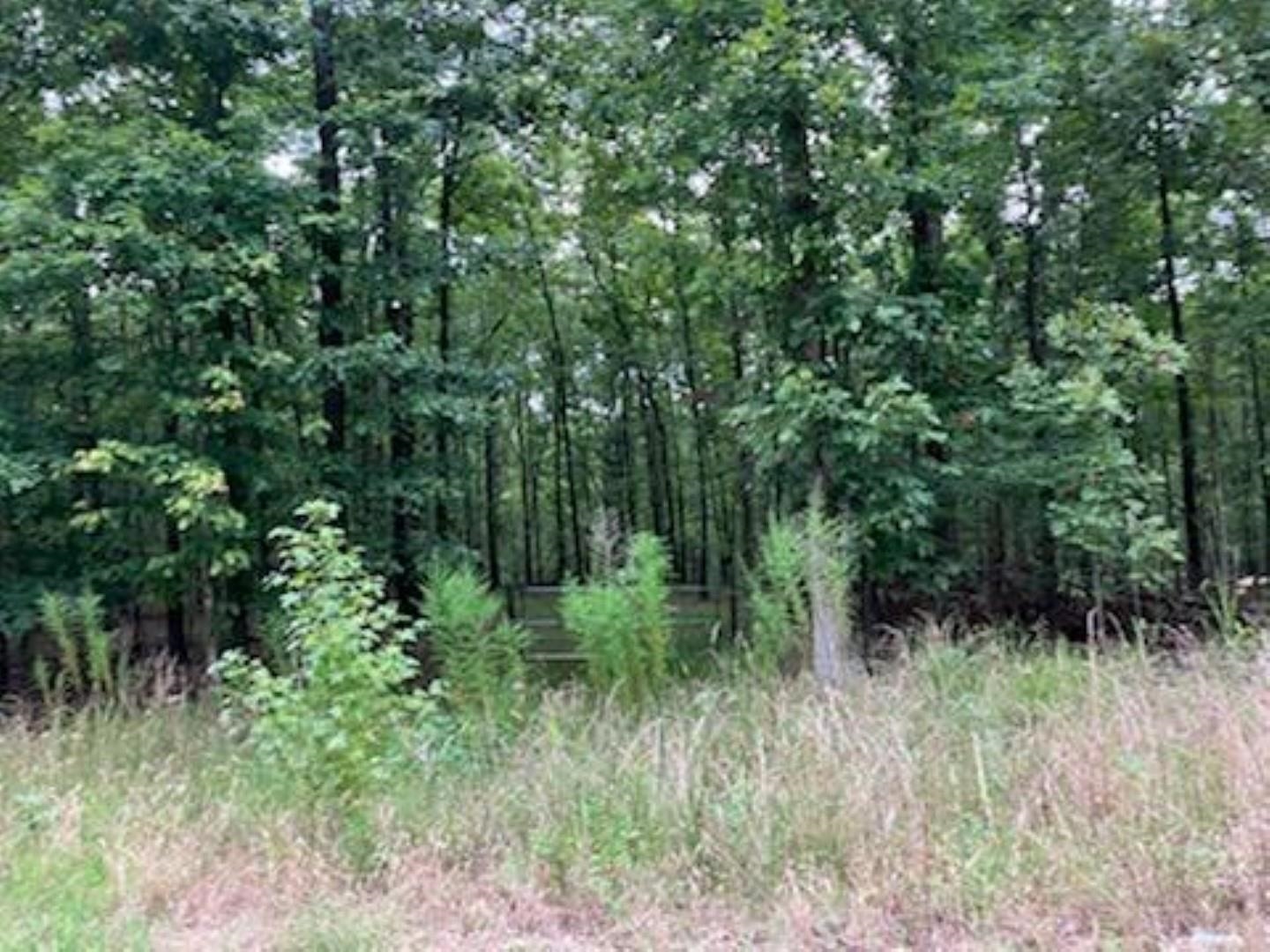 2955 Rehoboth Road Somerville, TN 38068 - Photo 3 of 6 Gallery Image 3
