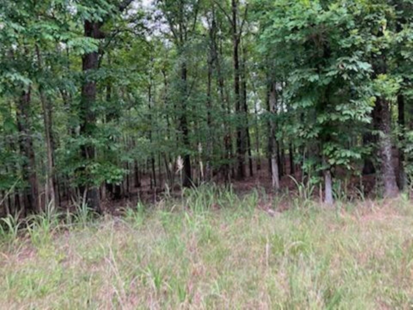 2955 Rehoboth Road Somerville, TN 38068 - Photo 6 of 6 Gallery Image 6