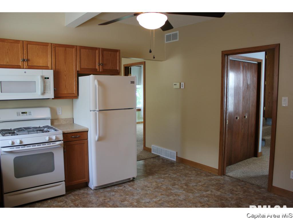 1126 North Patton Street Springfield, IL 62702 - Photo 4 of 28