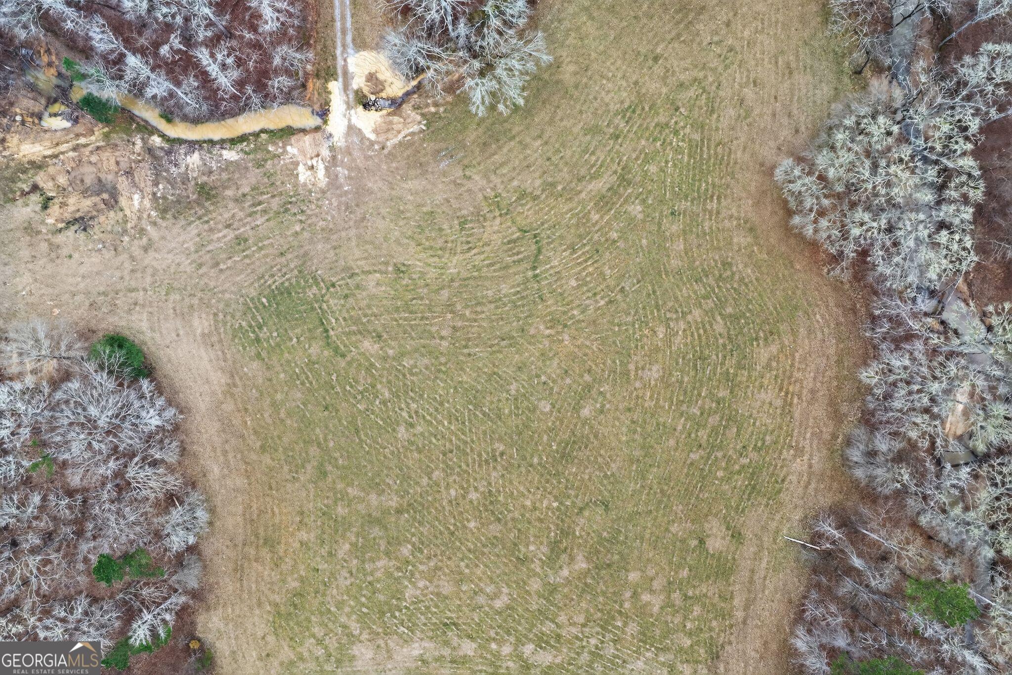 0 Hough Johnson Road Haddock, GA 31033 - Photo 11 of 22