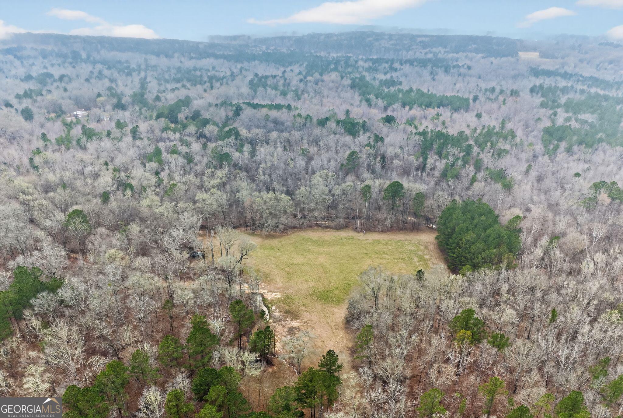 119 Hough Johnson Road Haddock, GA 31033 - Photo 12 of 36 a view of a dry yard with trees