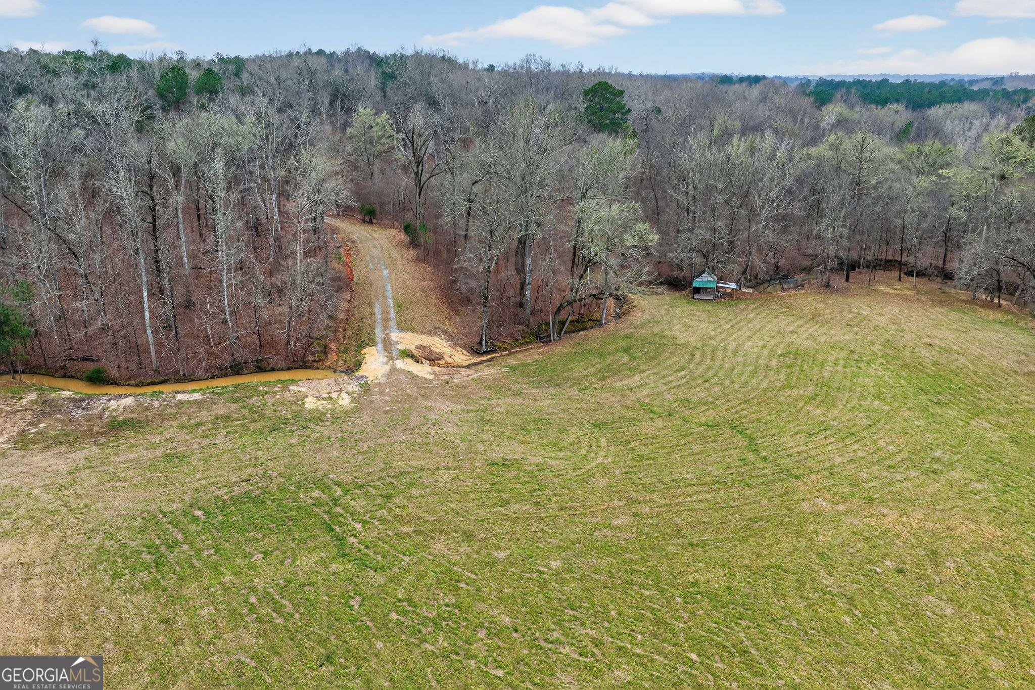 0 Hough Johnson Road Haddock, GA 31033 - Photo 13 of 22