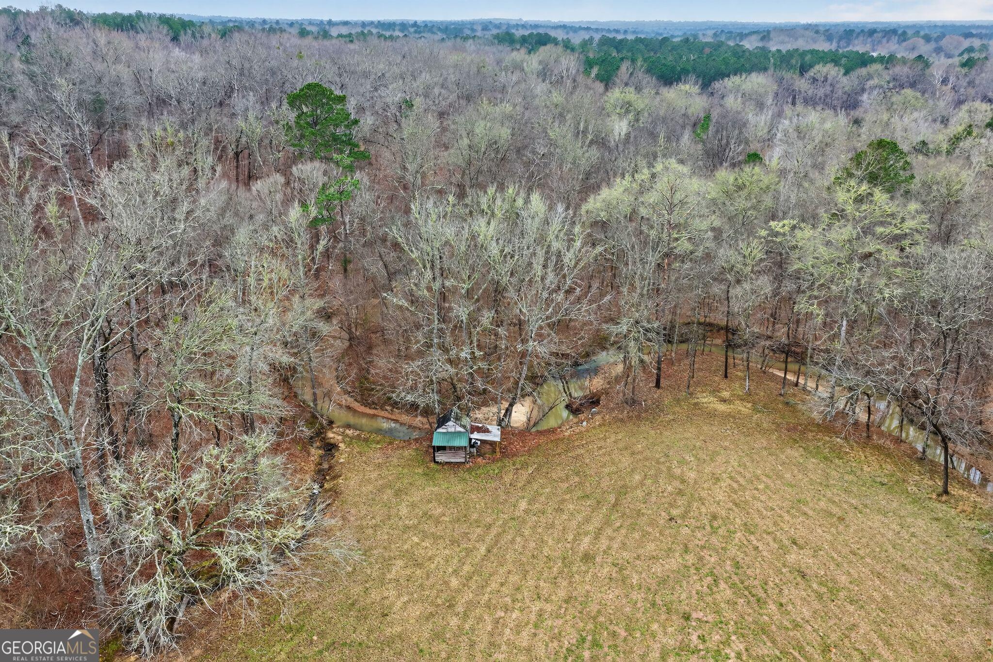 119 Hough Johnson Road Haddock, GA 31033 - Photo 13 of 36 a view of a yard with a tree