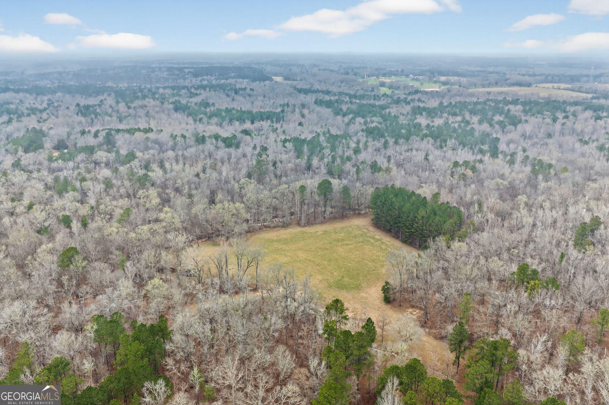 119 Hough Johnson Road Haddock, GA 31033 - Photo 15 of 36 a view of a yard
