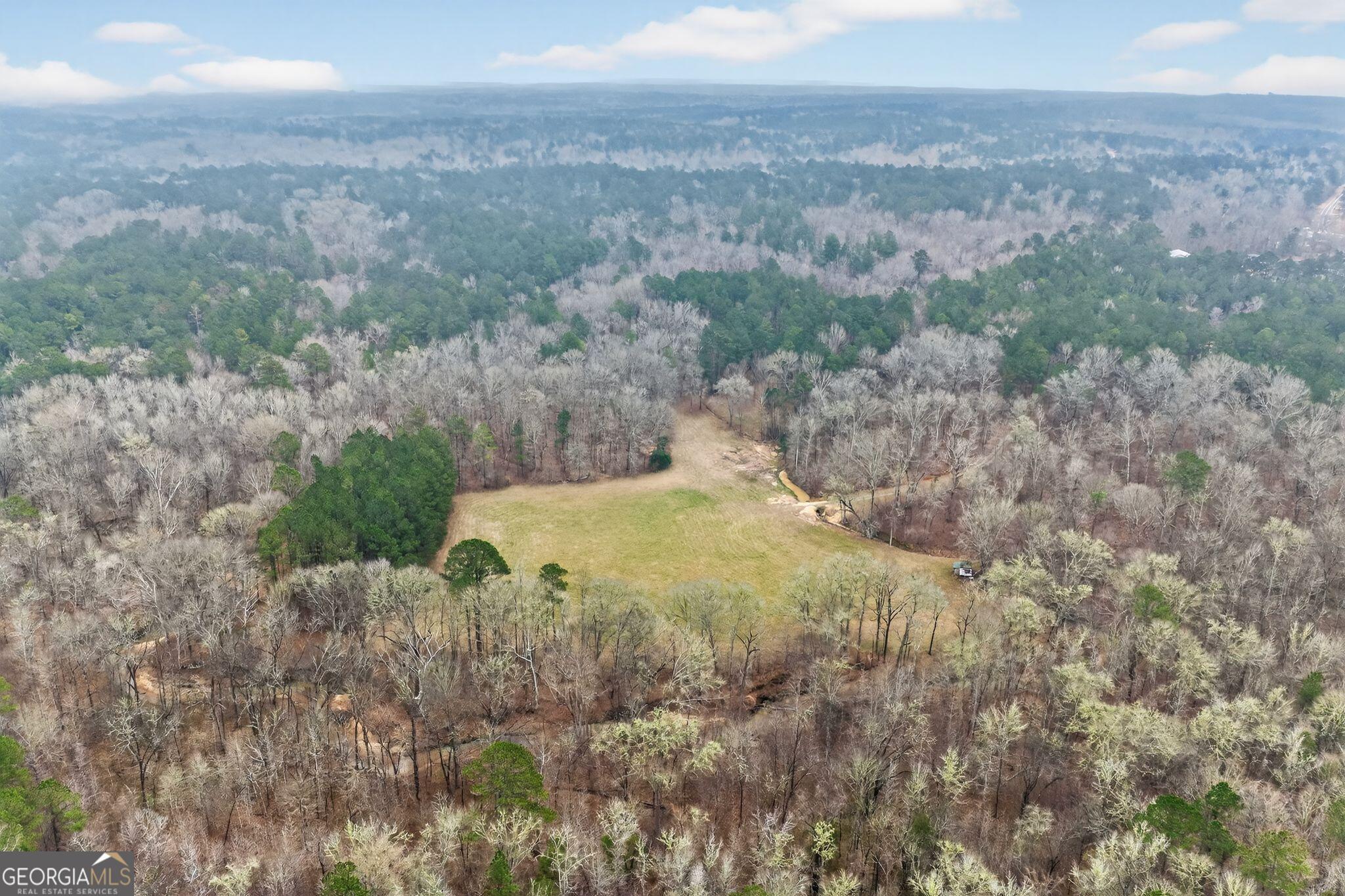 119 Hough Johnson Road Haddock, GA 31033 - Photo 18 of 36 a view of a field of the house