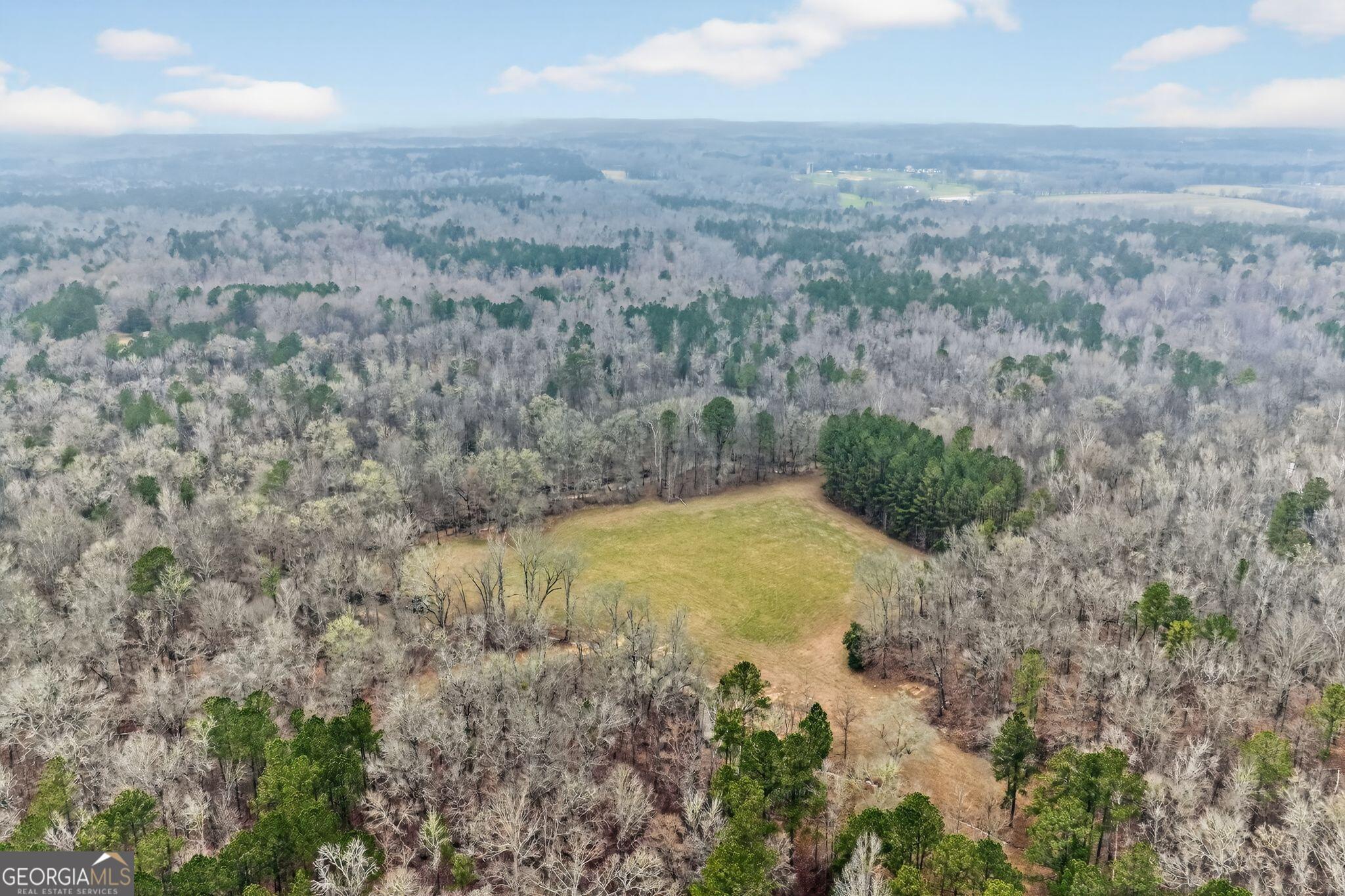 0 Hough Johnson Road Haddock, GA 31033 - Photo 2 of 22