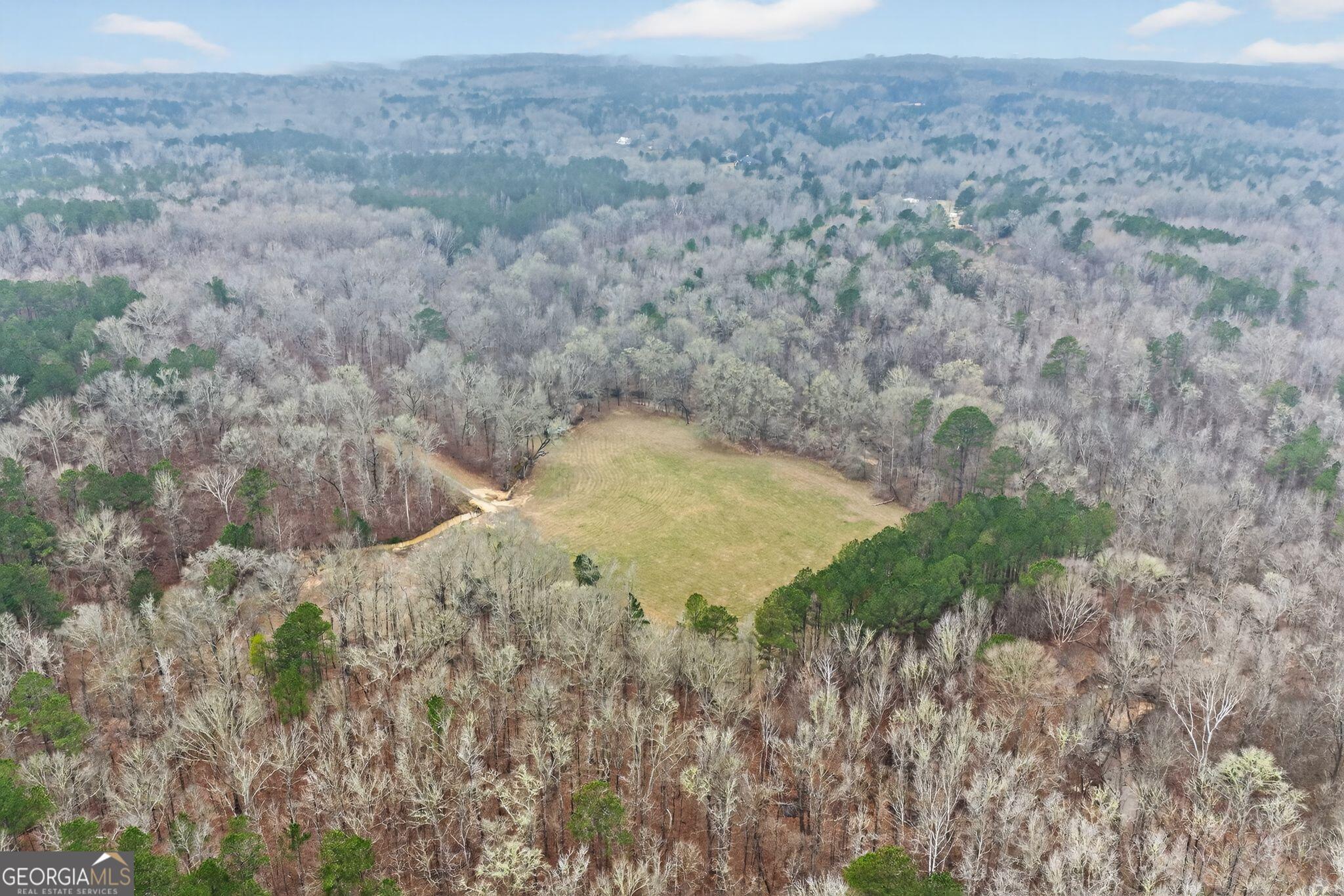 119 Hough Johnson Road Haddock, GA 31033 - Photo 2 of 36 a view of a dry yard