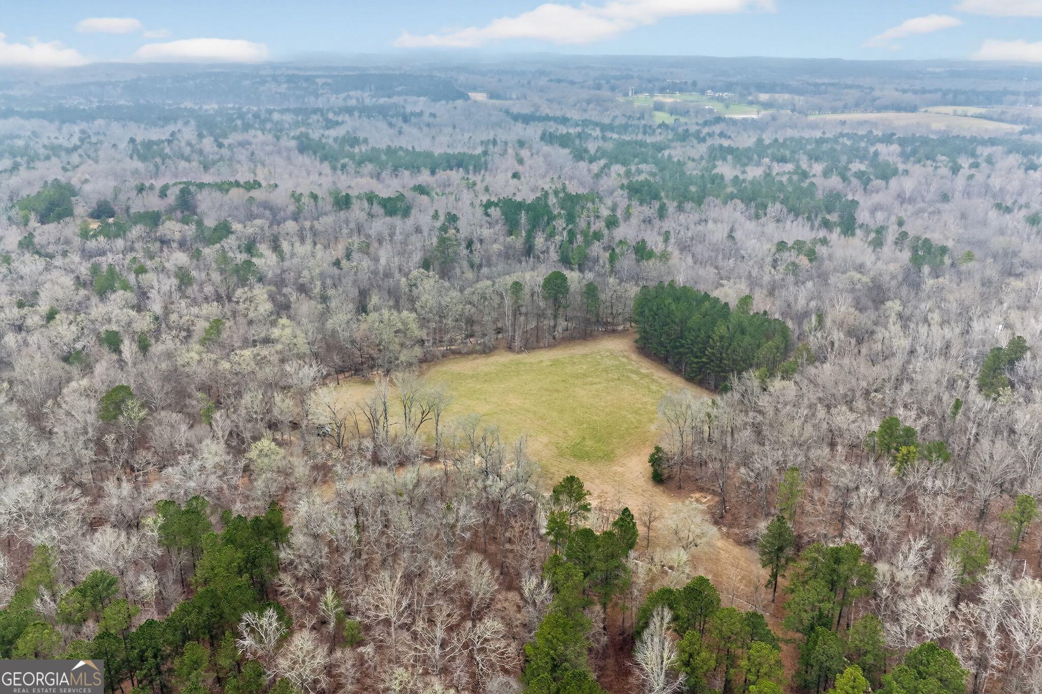 119 Hough Johnson Road Haddock, GA 31033 - Photo 21 of 36 a view of a dry yard