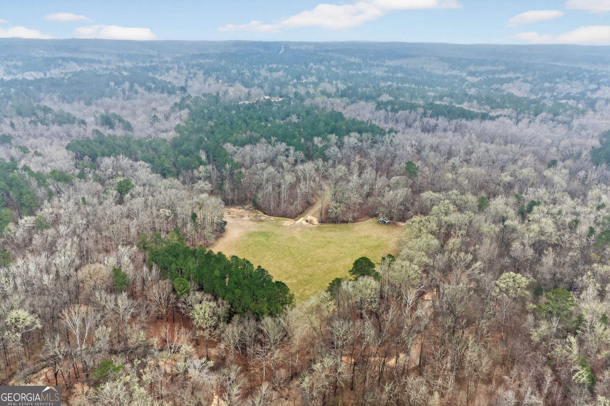 0 Hough Johnson Road Haddock, GA 31033 - Photo 22 of 22