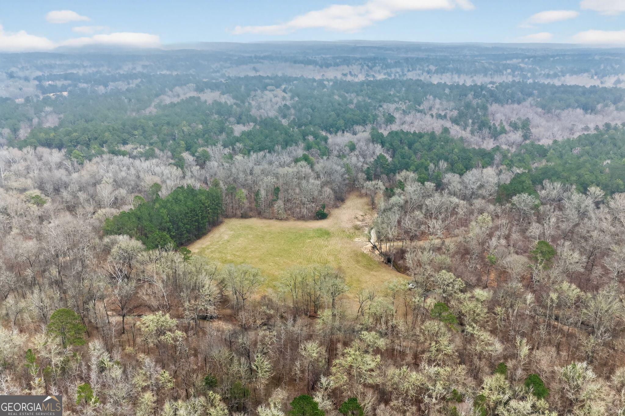 119 Hough Johnson Road Haddock, GA 31033 - Photo 24 of 36