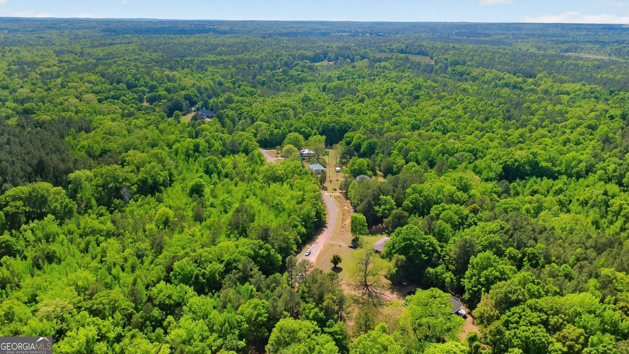 119 Hough Johnson Road Haddock, GA 31033 - Photo 29 of 36 a view of a lush green forest with trees and some houses