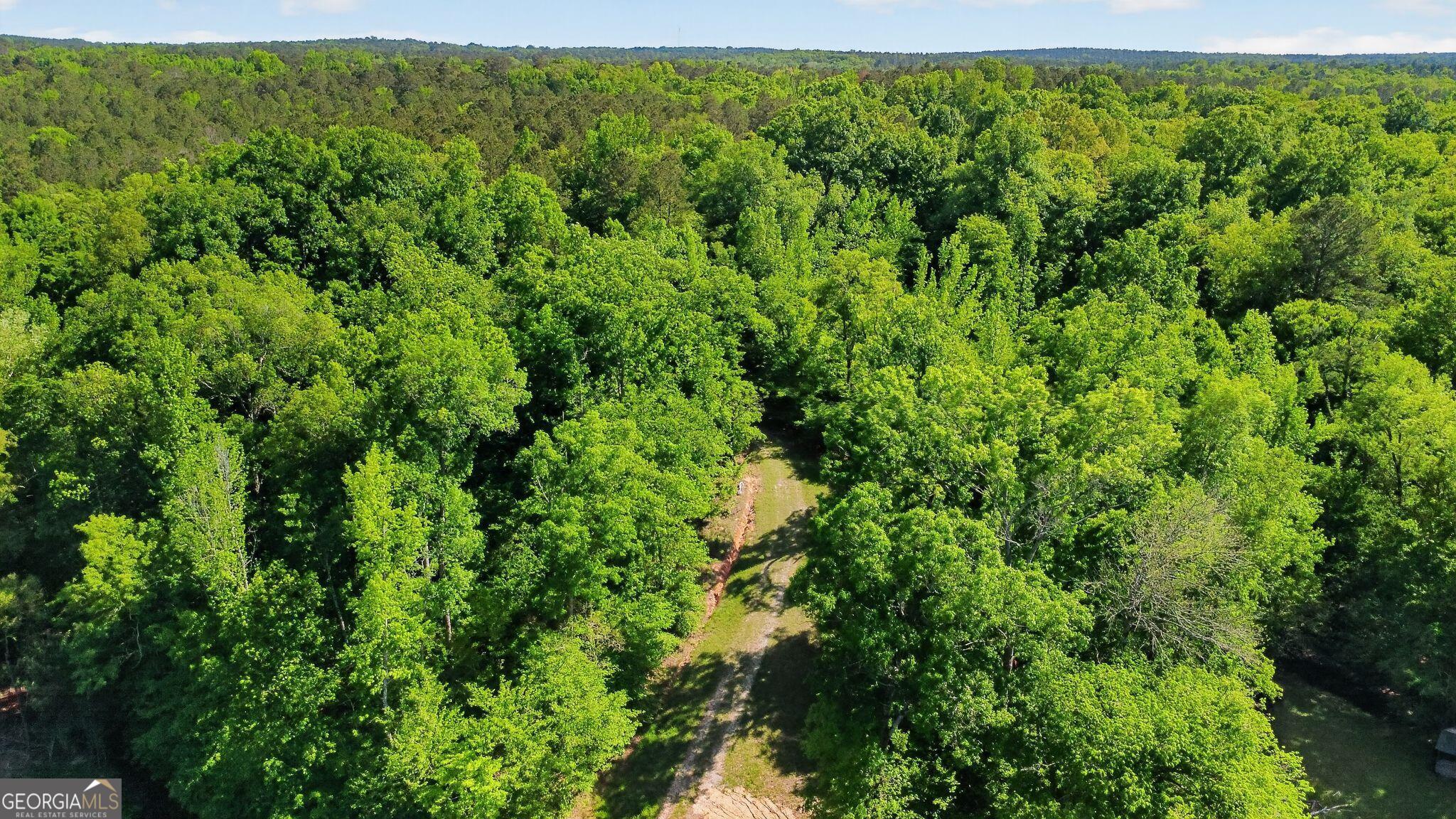 119 Hough Johnson Road Haddock, GA 31033 - Photo 35 of 36 a view of a lush green forest