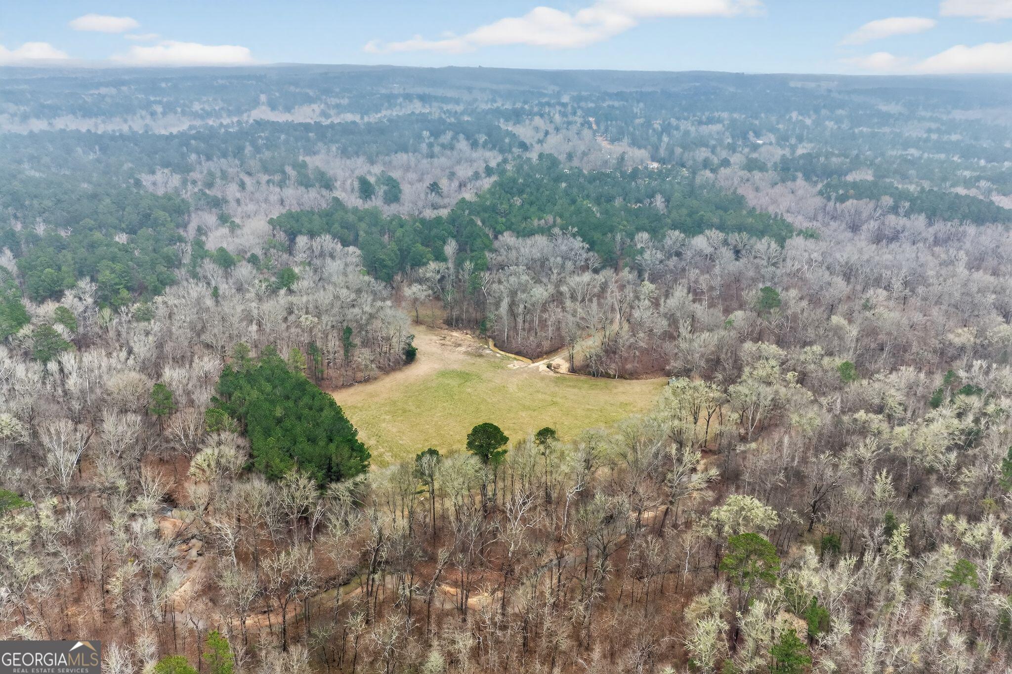 119 Hough Johnson Road Haddock, GA 31033 - Photo 8 of 36 a view of a dry yard with large trees