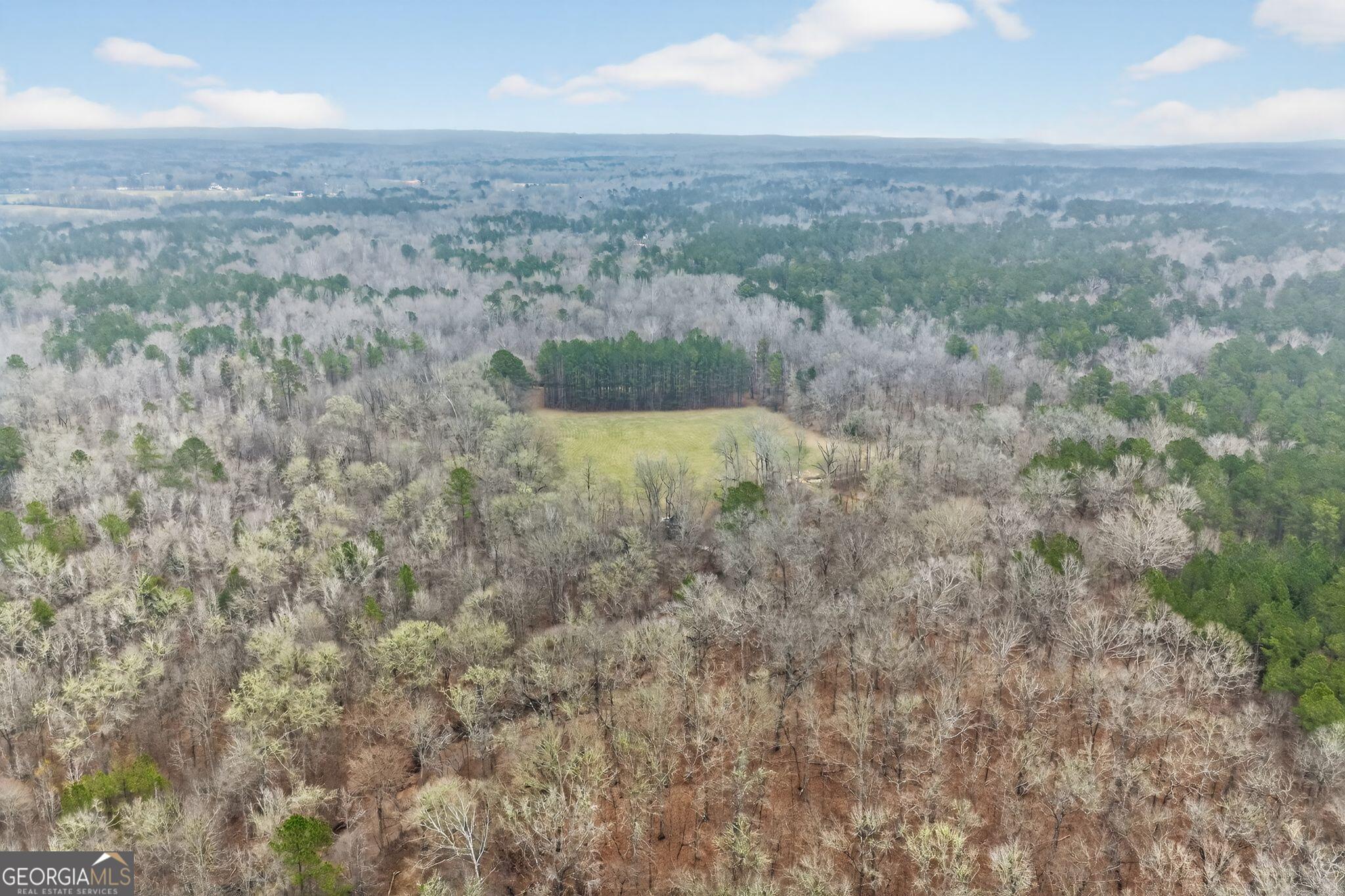 119 Hough Johnson Road Haddock, GA 31033 - Photo 9 of 36 a view of a yard