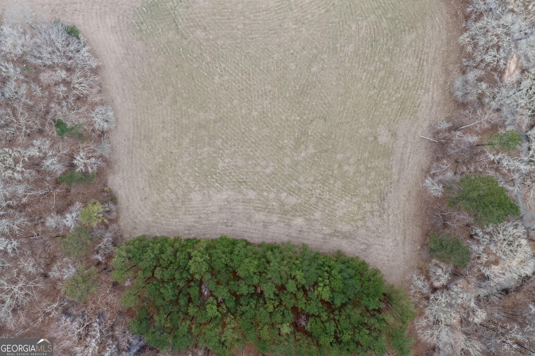 0 Hough Johnson Road Haddock, GA 31033 - Photo 10 of 22