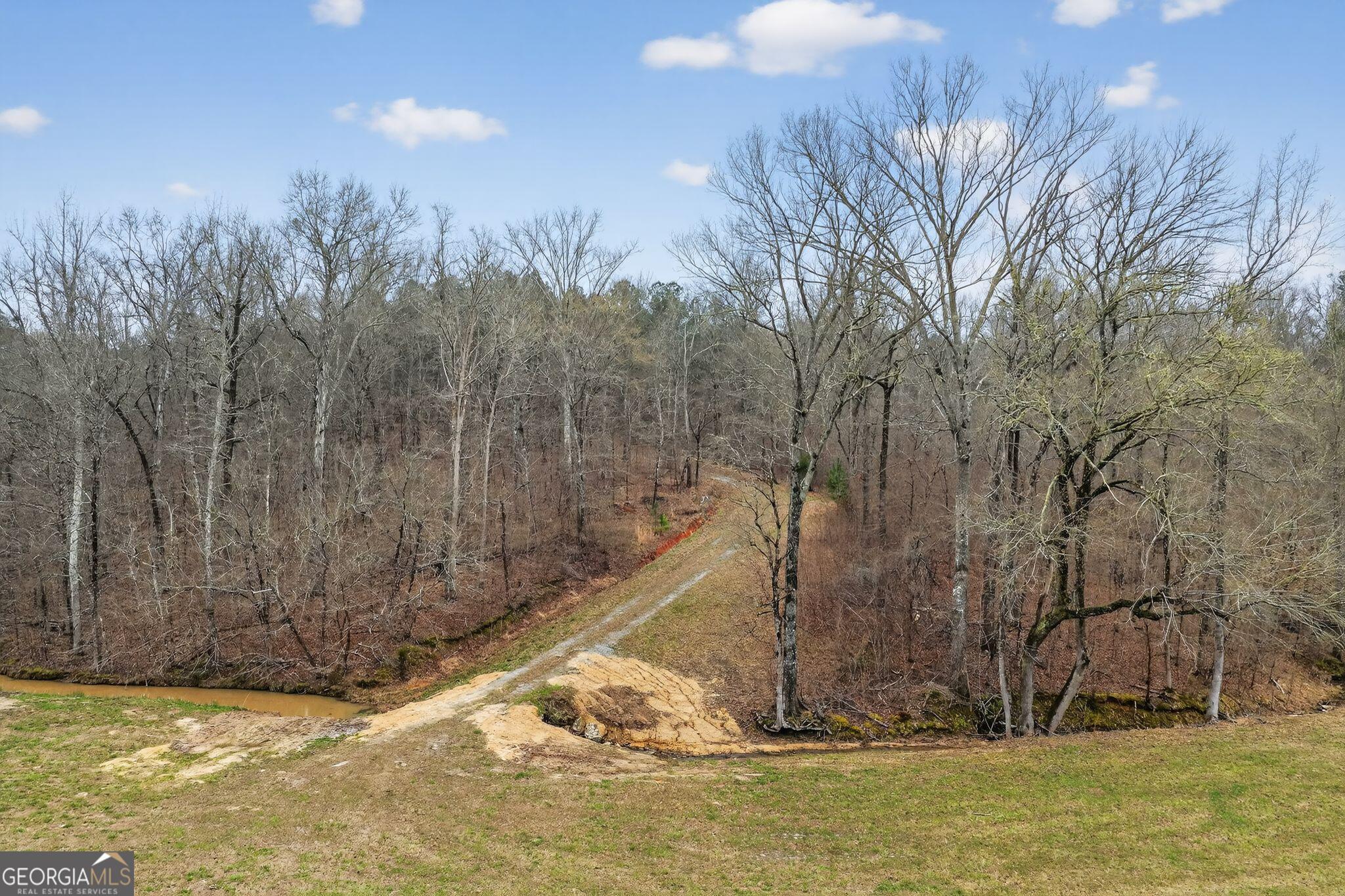 119 Hough Johnson Road Haddock, GA 31033 - Photo 10 of 36 a view of a backyard