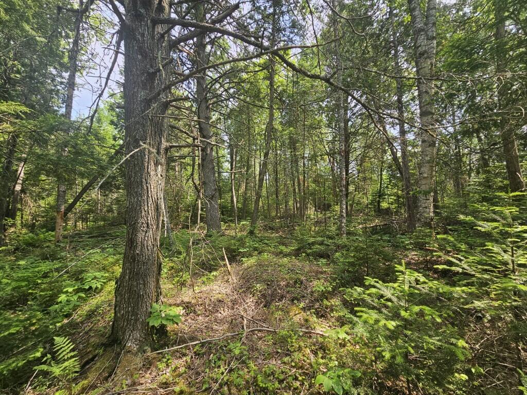 2016 Hudson Road Hudson, ME 04449 - Photo 26 of 36