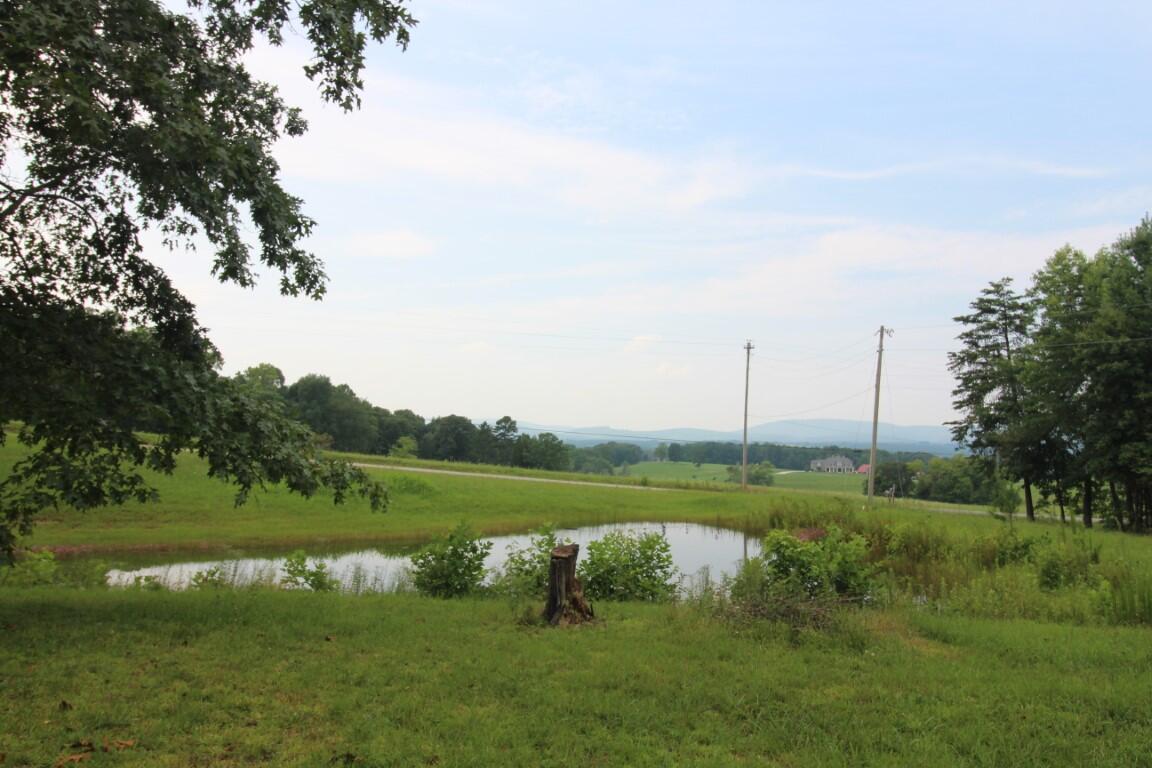2958 Possum Trot Road Grandview, TN 37337 - Photo 36 of 47 IMG_4556 (Medium)