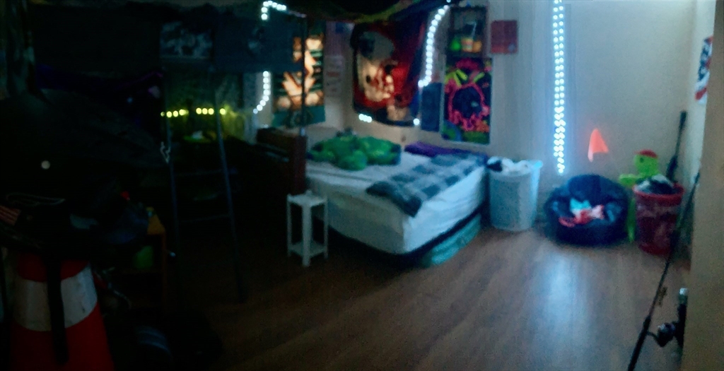 6 Kimball Hill Road Holland, MA 01521 - Photo 11 of 19 a living room with furniture and a potted plant