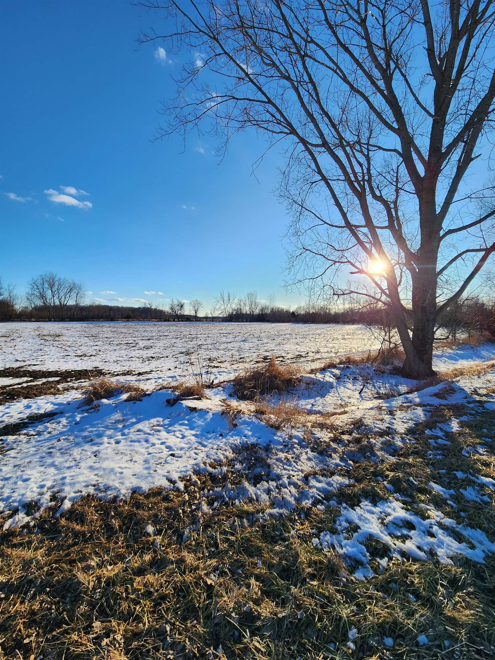 0 McKay Road St. Charles, MI 48655 - Photo 8 of 19 Gallery Image 8