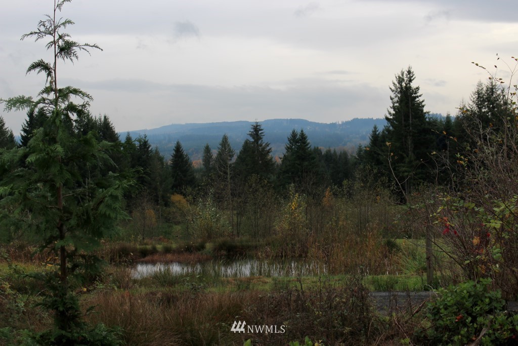 678 Chilvers Road Chehalis, WA 98532 - Photo 16 of 16