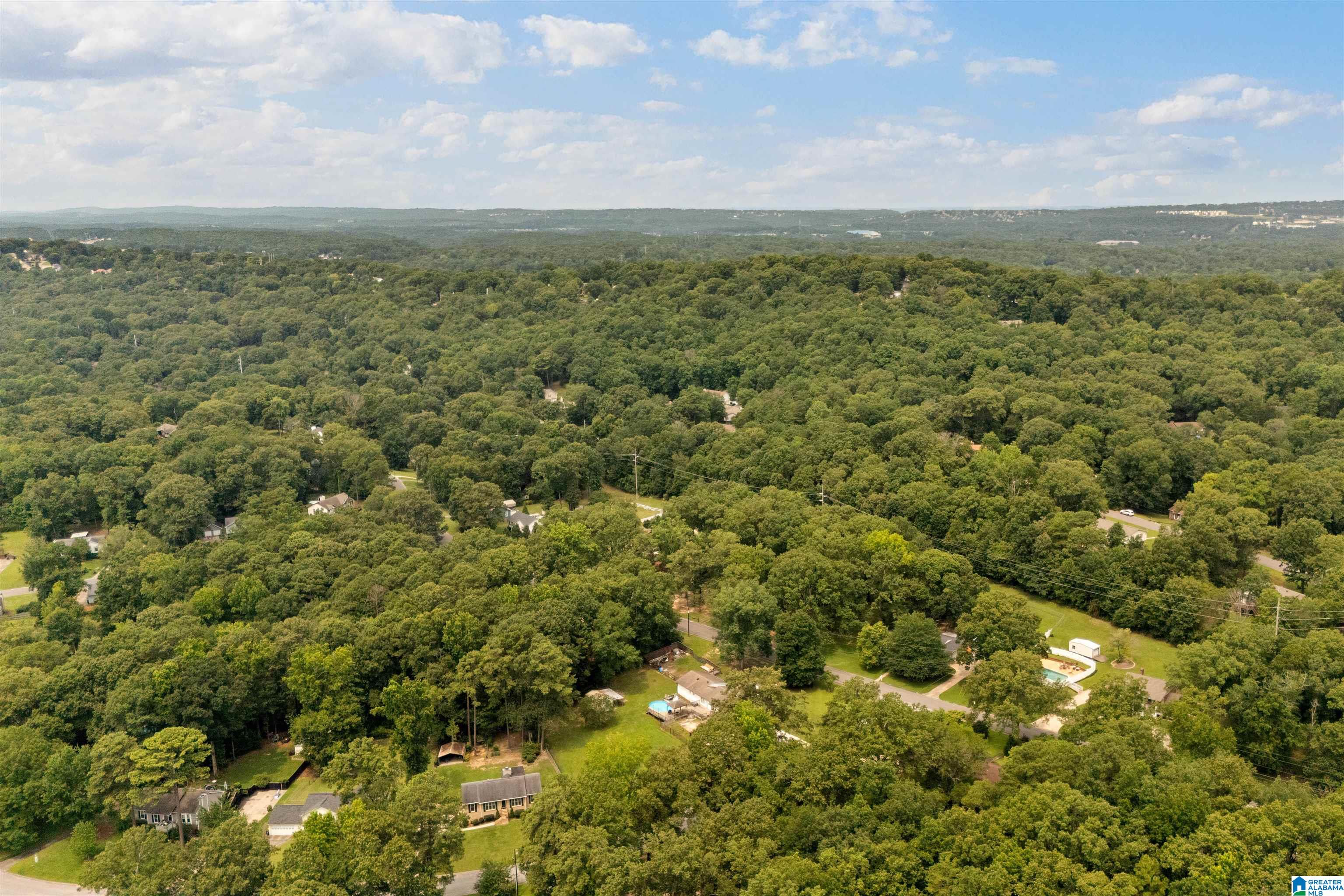 1787 Indian Hills Road Pelham, AL 35124 - Photo 46 of 48