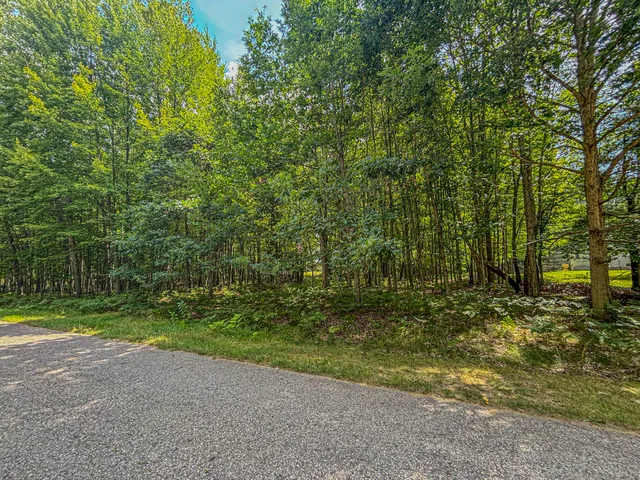 $5,000 | 9384 East Circle Drive, Stanwood, MI 49346