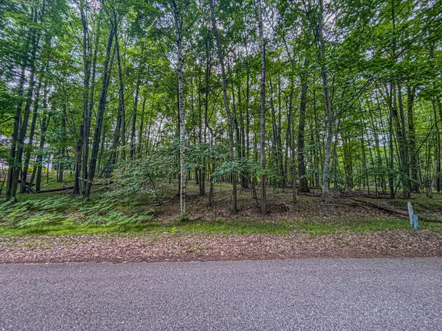 $5,000 | 9384 East Circle Drive, Stanwood, MI 49346