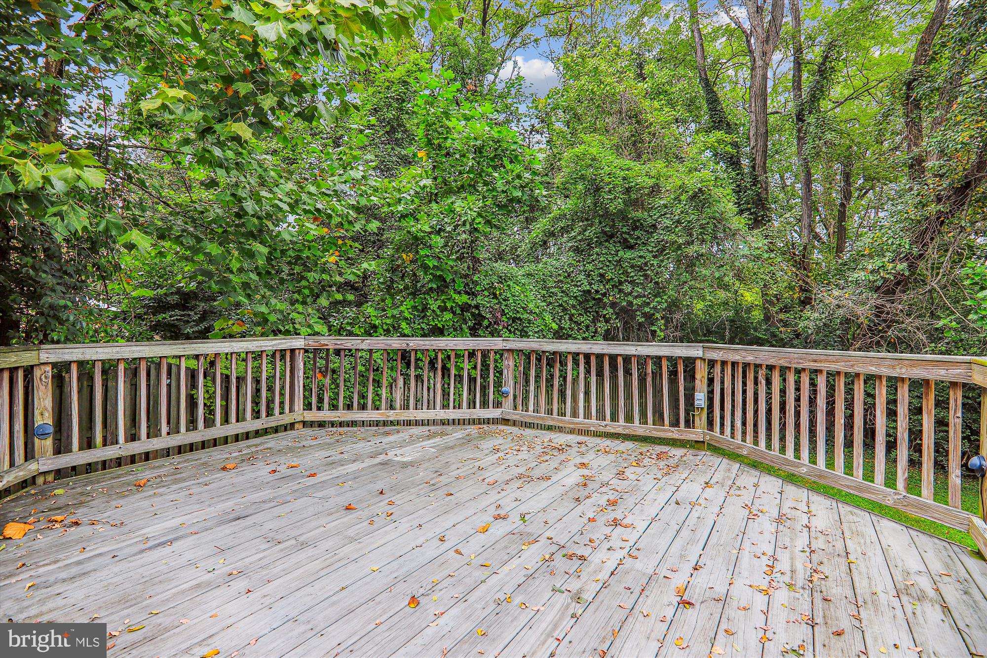 9105 Levelle Drive Chevy Chase, MD 20815 - Photo 23 of 56 Deck perfect for outdoor entertaining