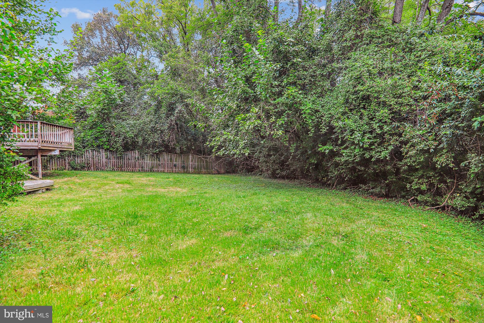 9105 Levelle Drive Chevy Chase, MD 20815 - Photo 55 of 56 Back Yard