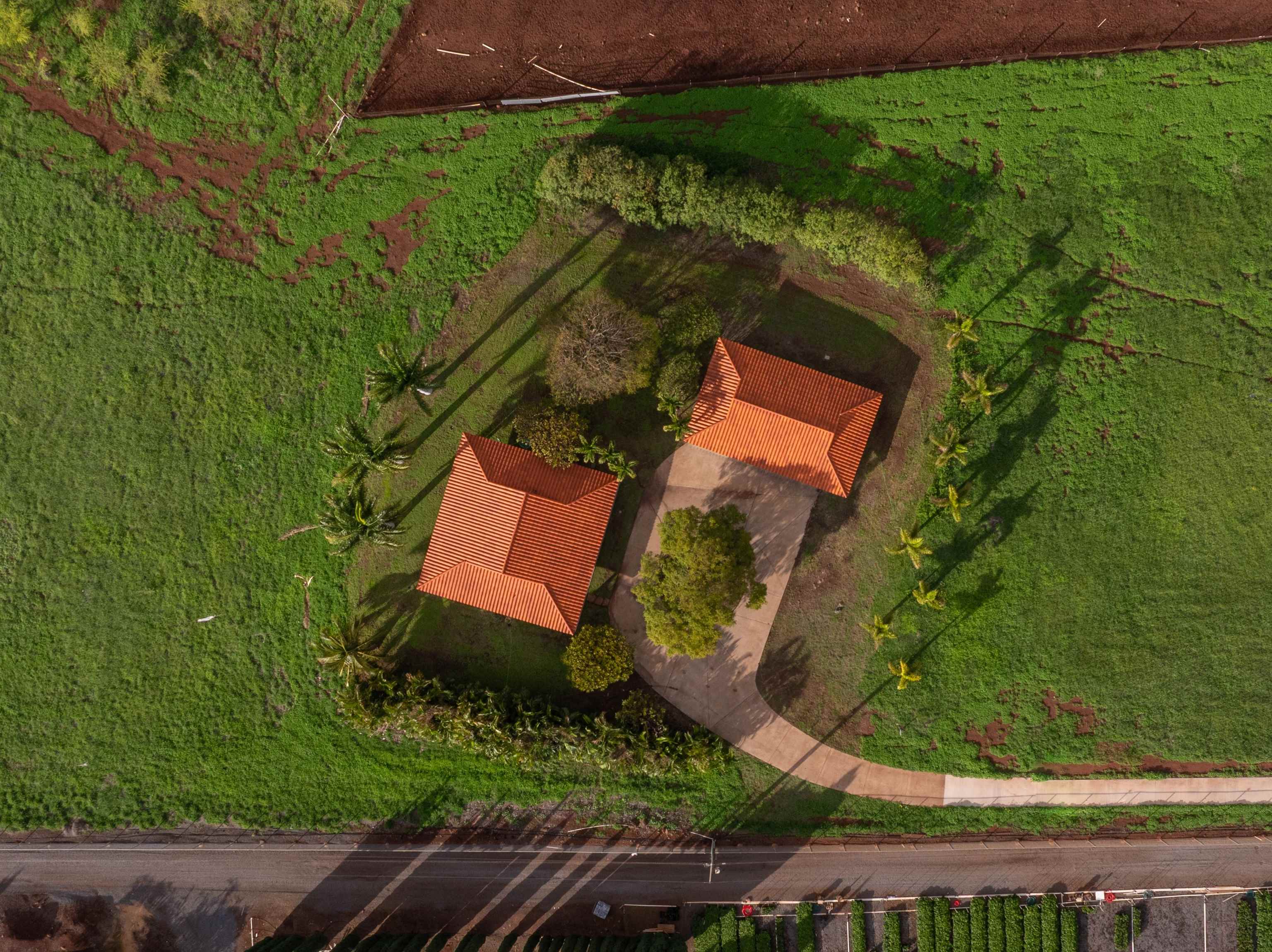 2345 Omaopio Road Kula, HI 96790 - Photo 3 of 23 a view of swimming pool from a yard