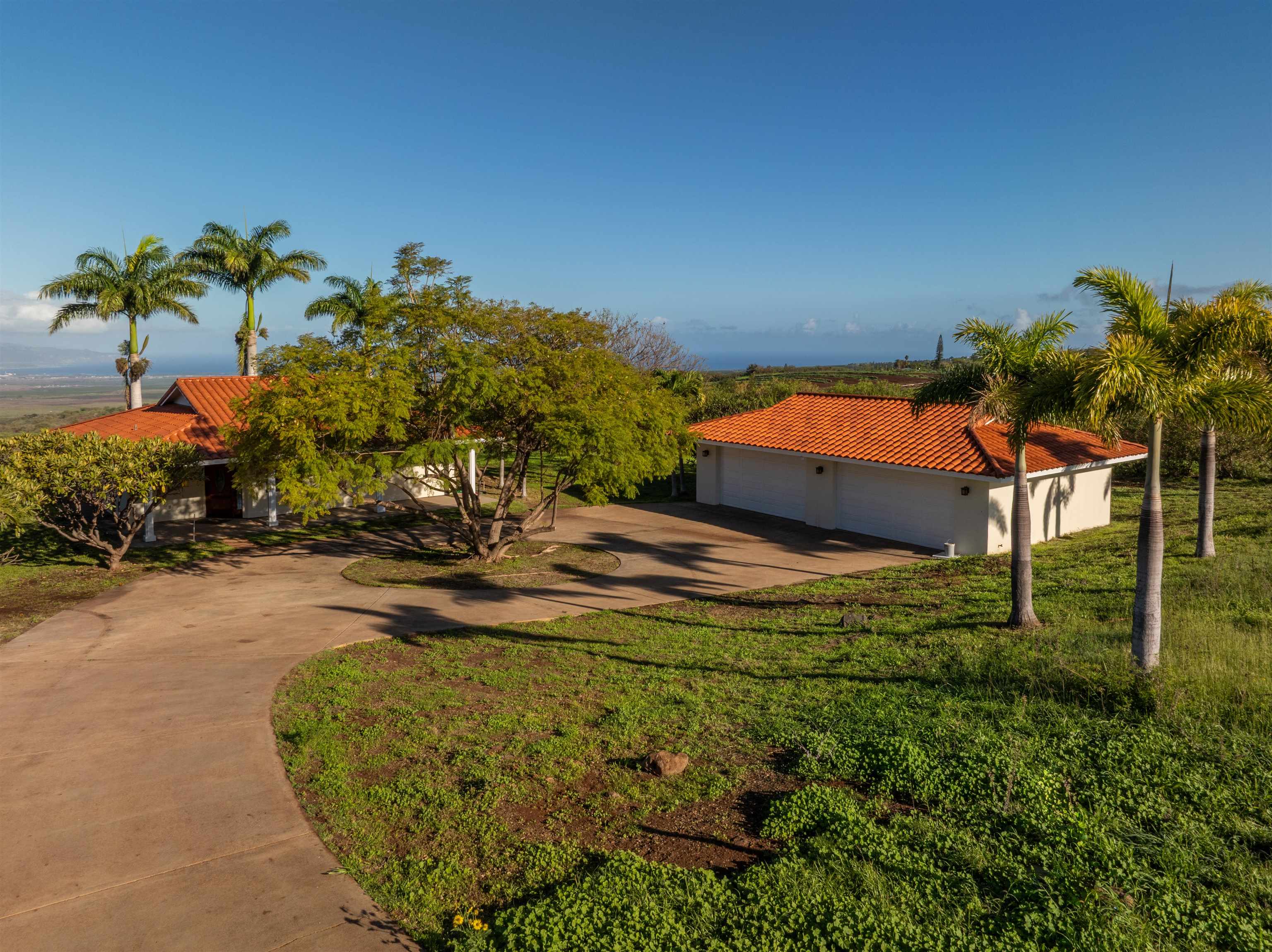 2345 Omaopio Road Kula, HI 96790 - Photo 4 of 23 a view of a backyard
