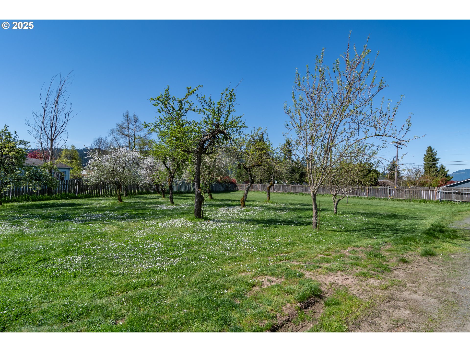174 South Comstock Road Sutherlin, OR 97479 - Photo 45 of 48 Gallery Image 45
