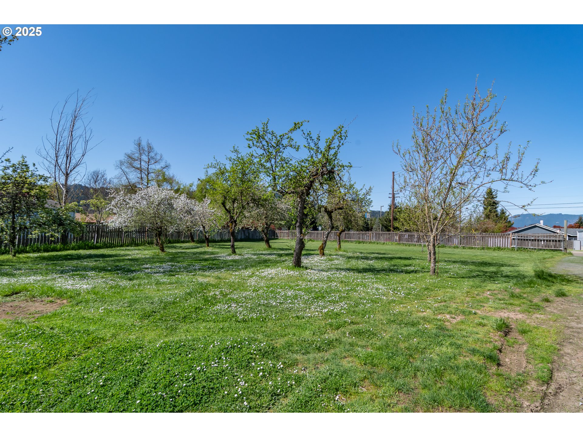 174 South Comstock Road Sutherlin, OR 97479 - Photo 46 of 48 Gallery Image 46