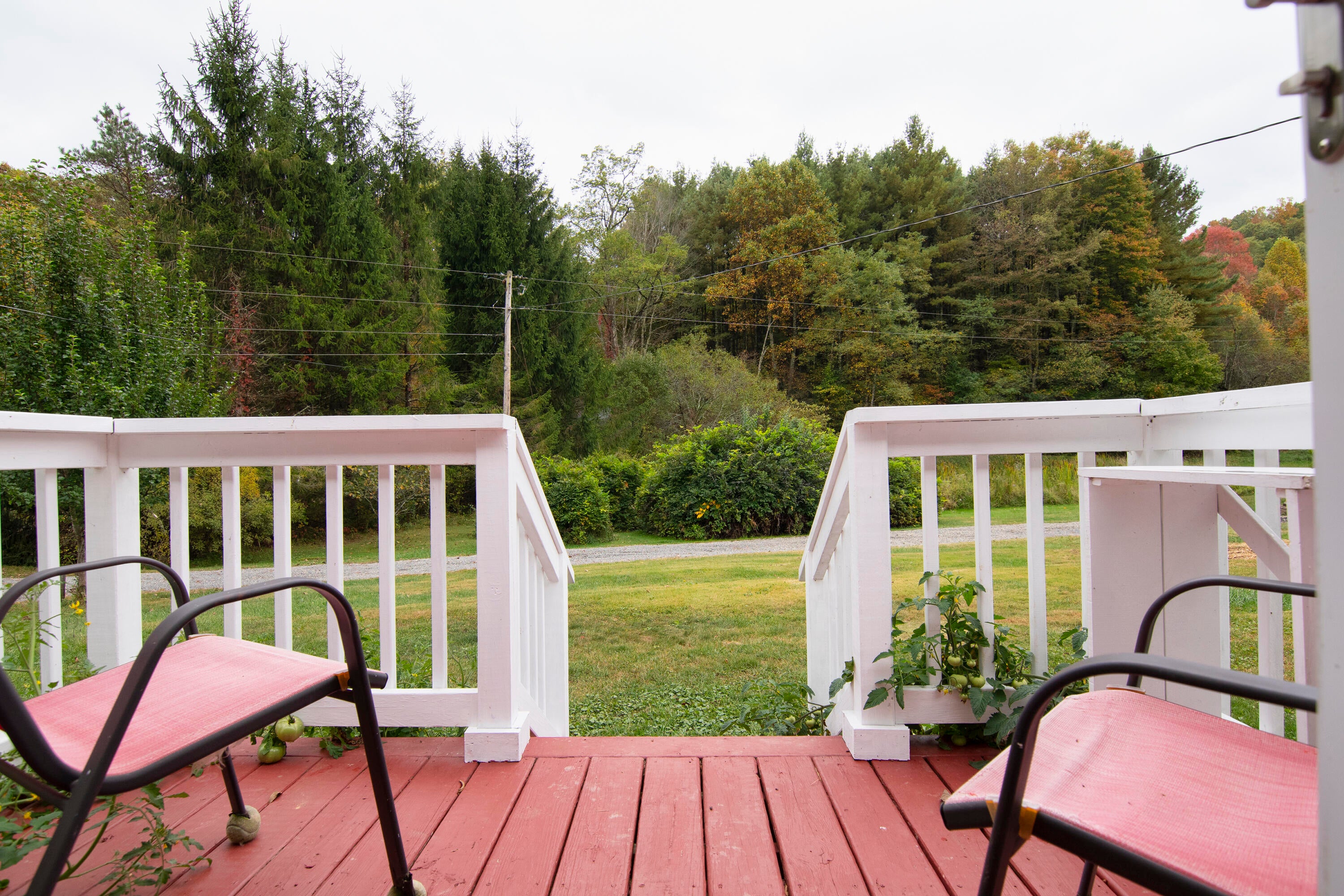7394 Crag Road Rainelle, WV 25962 - Photo 13 of 41 deck 1