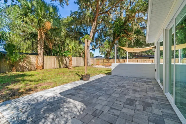 a view of a yard with plants and large trees