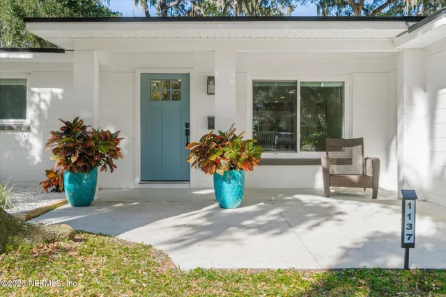 a potted plant sitting in front of a house