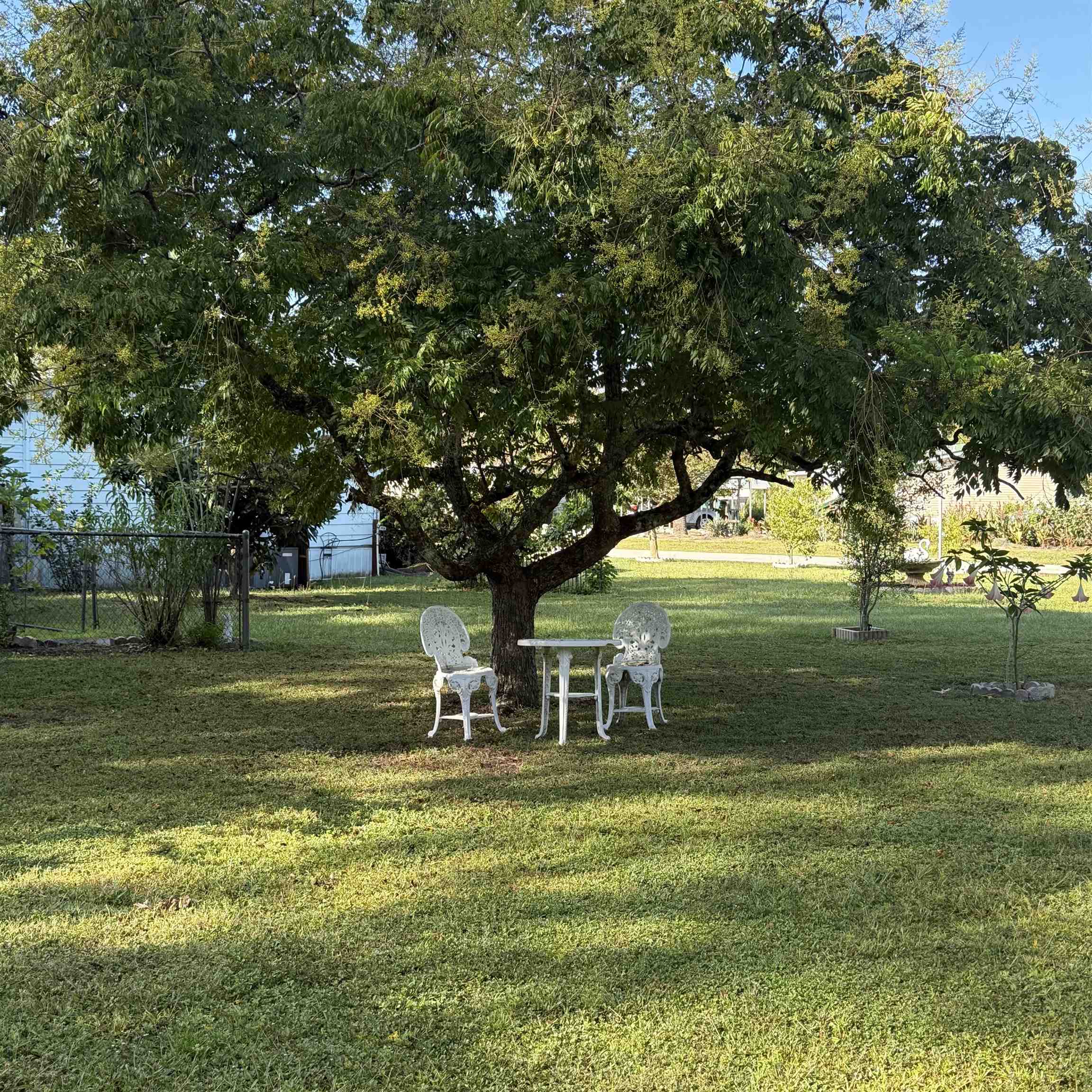 736 San Mateo Road Satsuma, FL 32189 - Photo 40 of 41 a view of a park