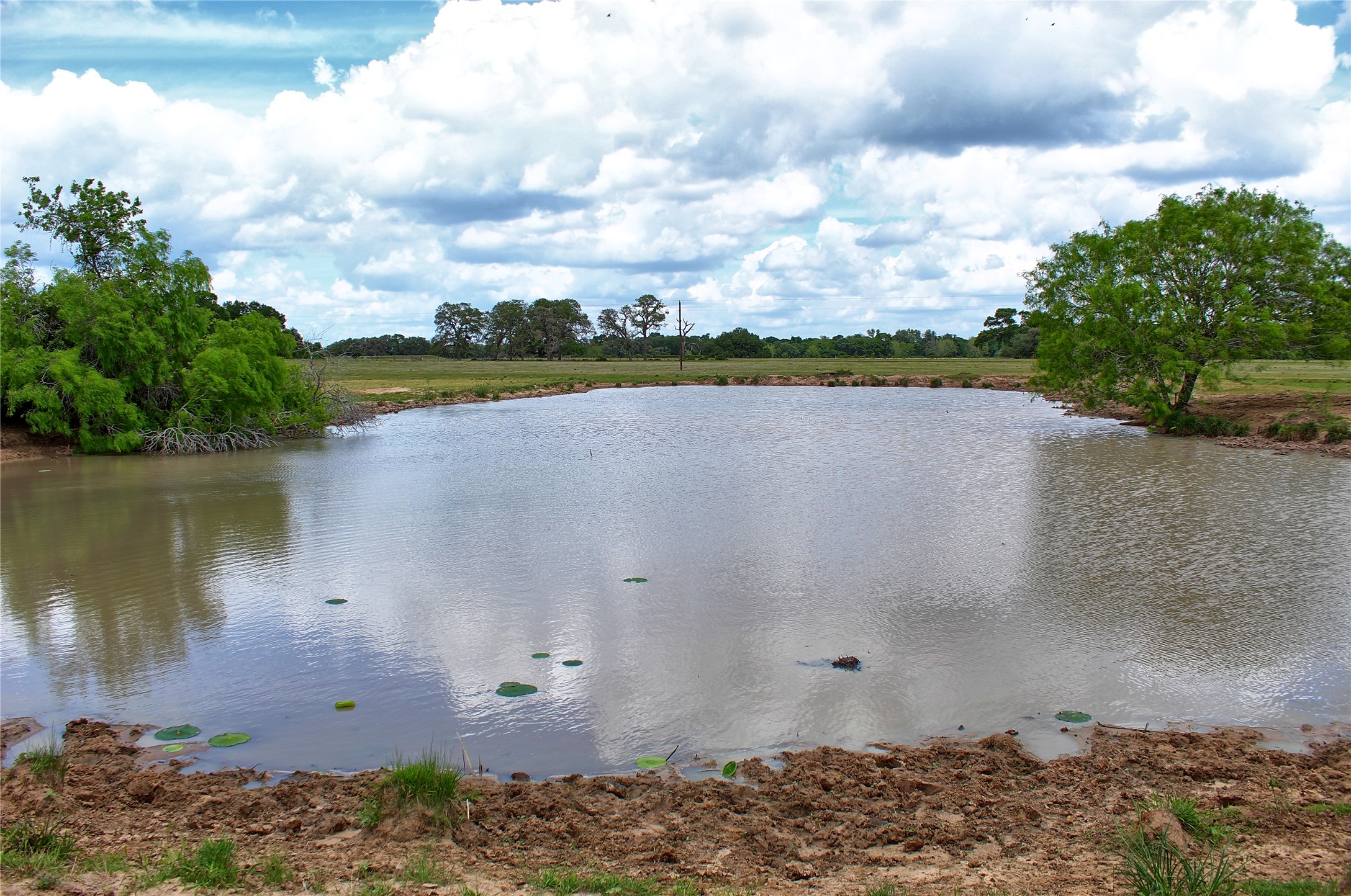 Tbd Harmony Road Weimar, TX 78962 - Photo 5 of 28