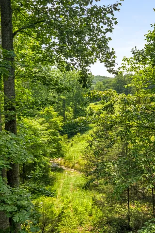 a backyard of a house with lots of green space
