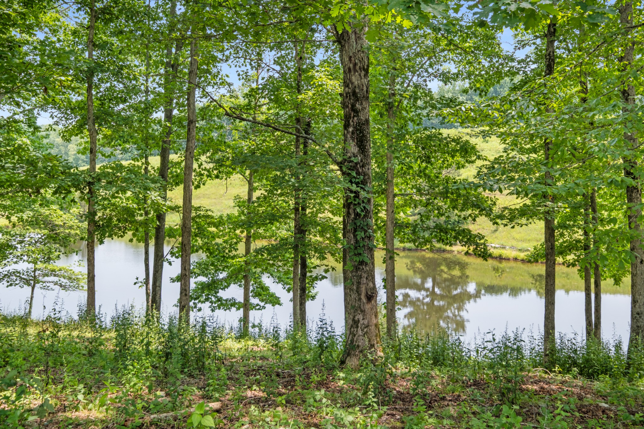 7909 Shoals Branch Road Primm Springs, TN 38476 - Photo 34 of 88